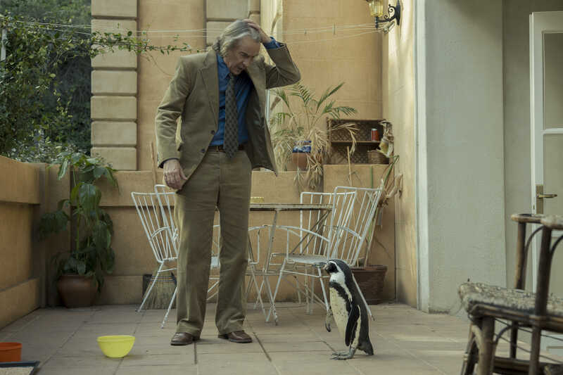 PENGUIN LESSONS (2025)