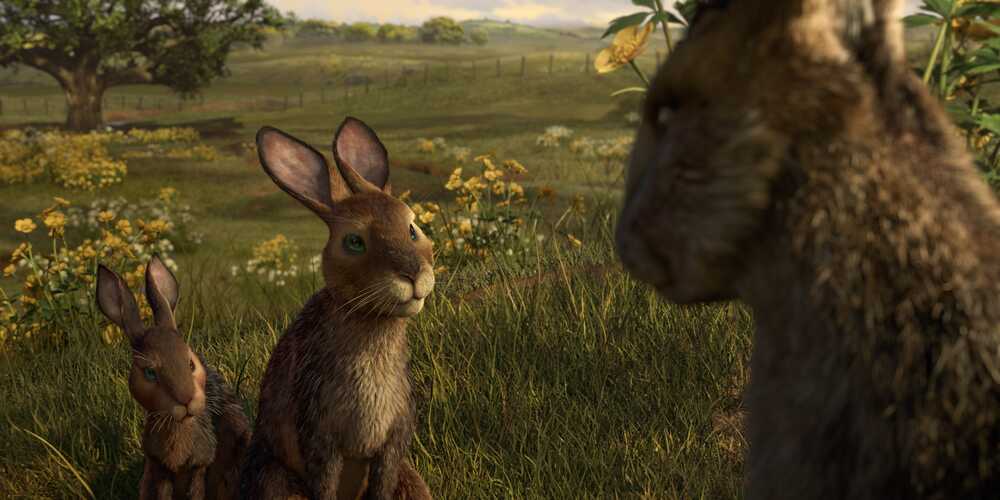 Watership Down