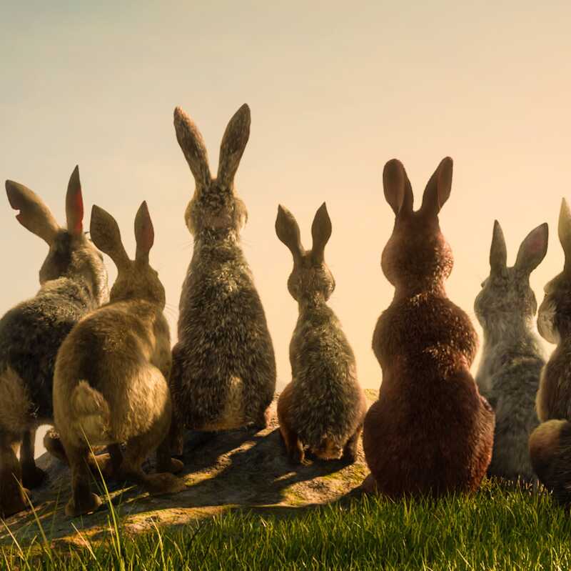 WATERSHIP DOWN